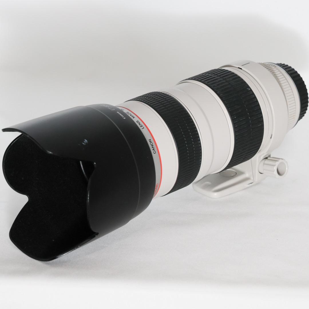 レンズ(ズーム) Canon EF 70-200mm f/2.8 L