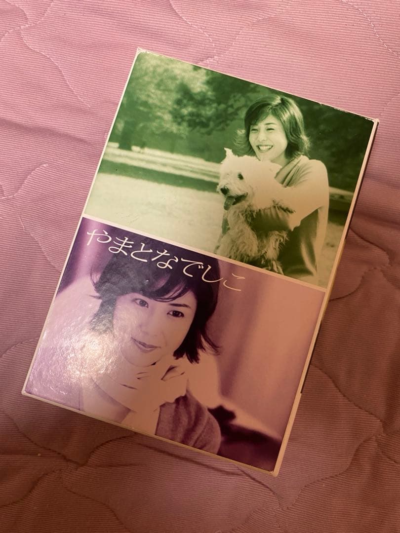 やまとなでしこDVD全巻 中古