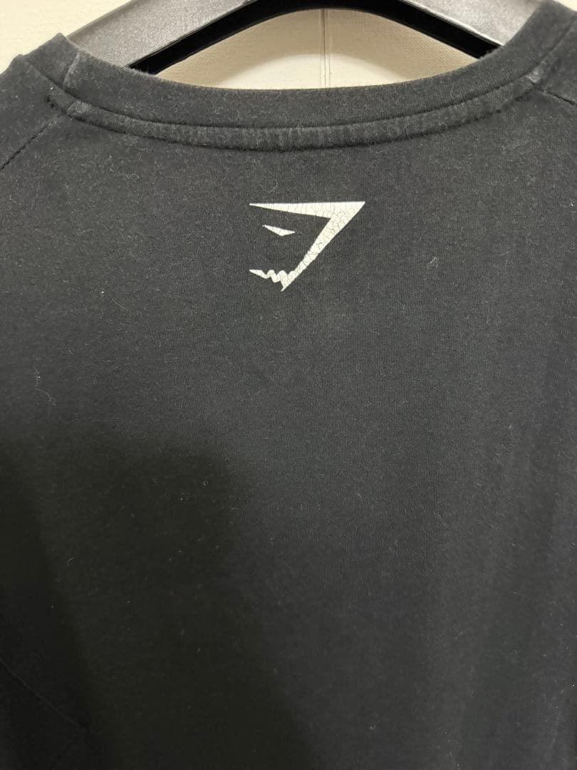  フィットネス Tシャツ 黒 DAVID LAID 着用