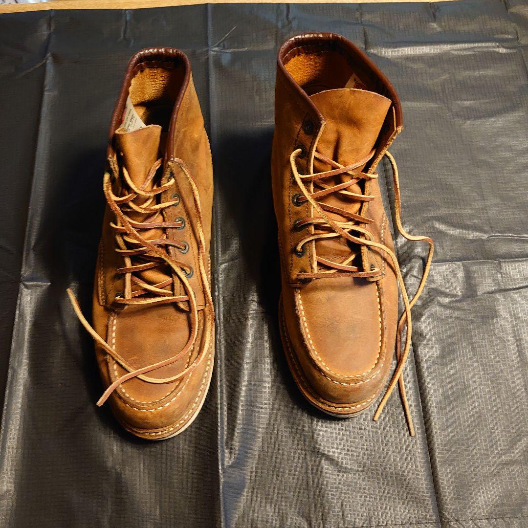 レッドウィング 1907