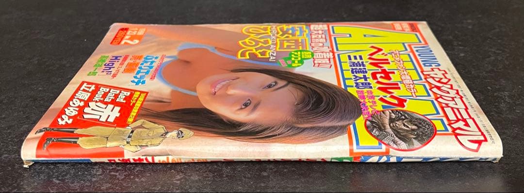 ●ヤングアニマル 1998年 No.2 ●カラー扉絵···ベルセルク 第113話