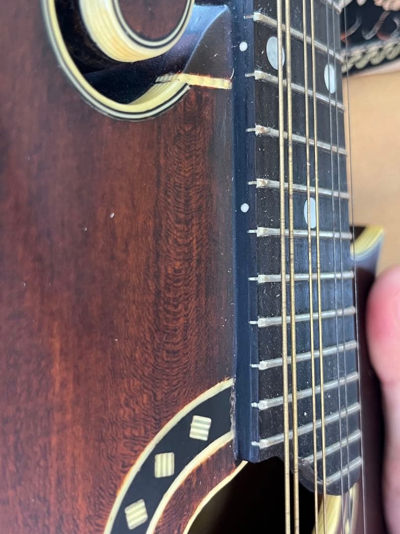 た*ん様 Eastman MD314 イーストマン フラットマンドリン