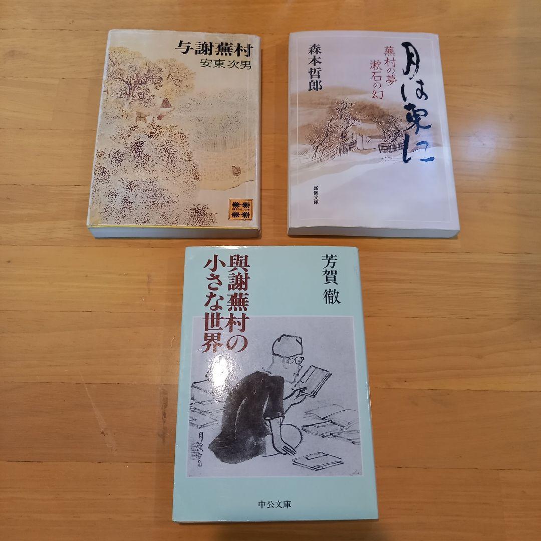 【画家】＋【俳人】蕪村セット 大判含む14冊