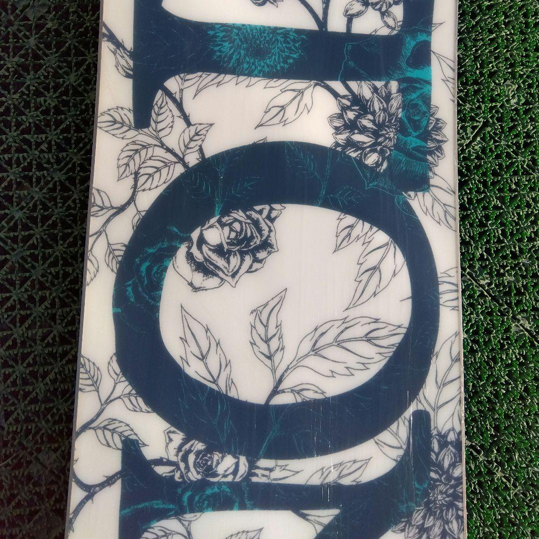 レディース最高峰 BURTON 146/SALOMON CAPiTA グラトリ