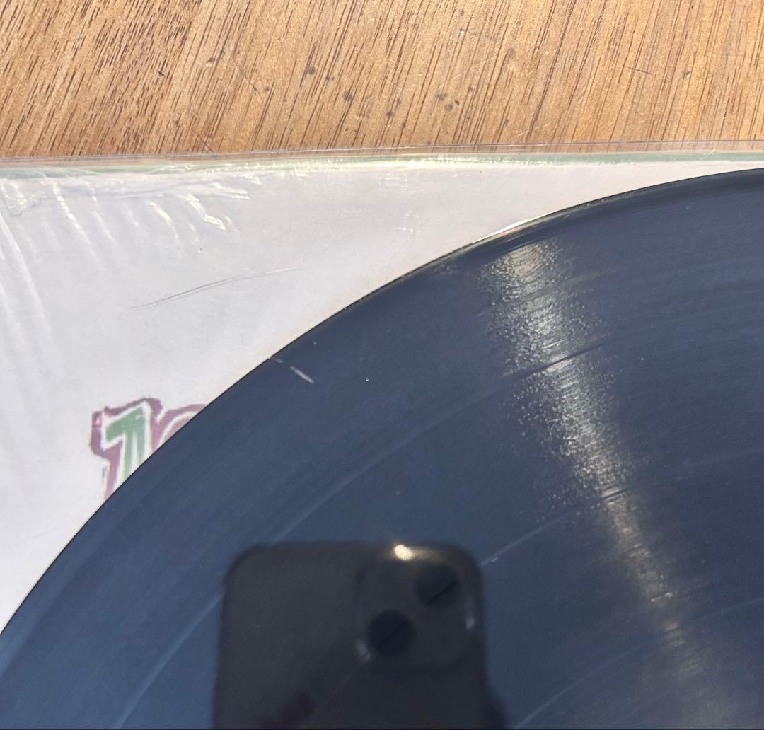 Determinations （レコード アナログ盤）