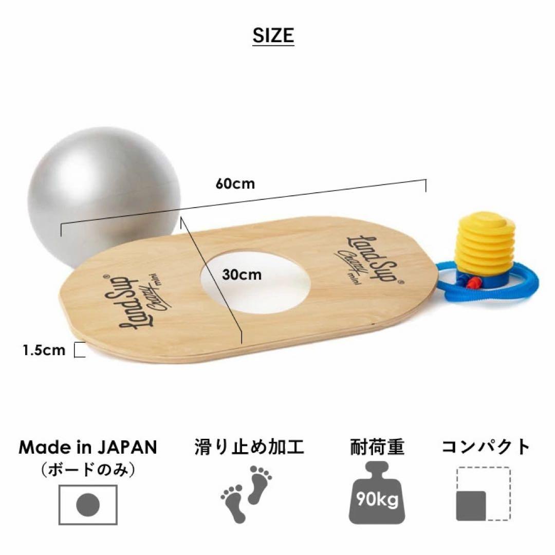 バランスボードLandSup Crazy mini / サーフィンオフトレ