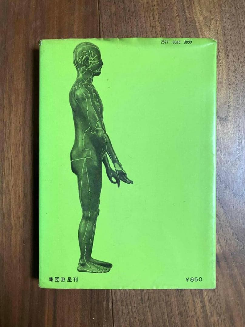 澤田流鍼灸ノートブック 澤田流秘伝経穴公開 山田國弼 集団形星 沢田流 代田文誌