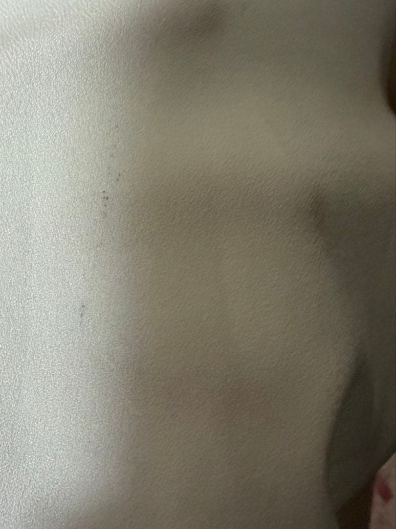 LIZLISA Sewing Bear柄セットアップ セットアップ ピンク