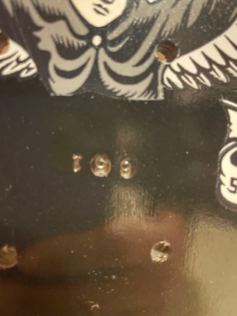 スケートボード jason jessee santacruz deck GUADALUPE