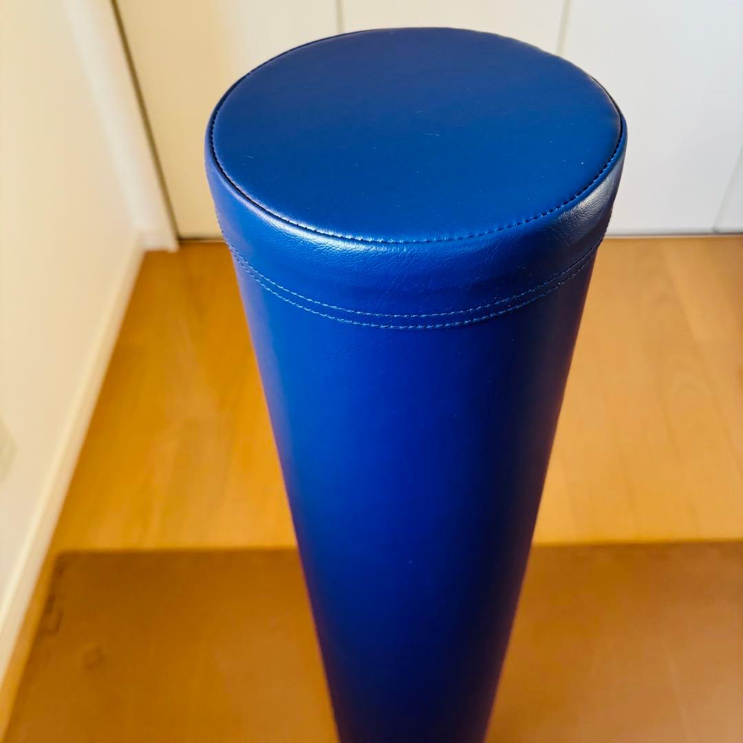 新品 未使用StretchPole LPN ストレッチポール EX DVD付き