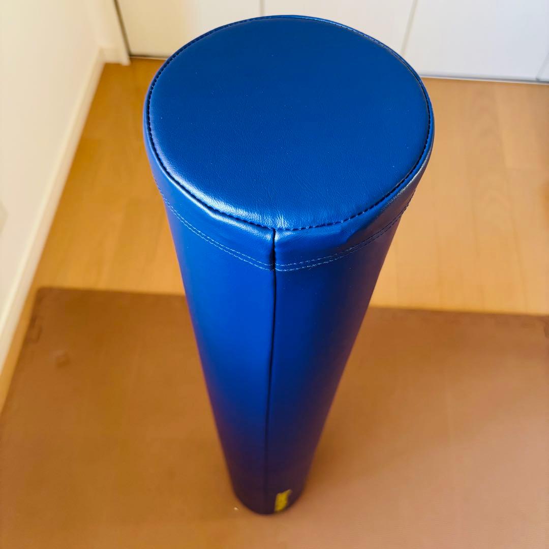 新品 未使用StretchPole LPN ストレッチポール EX DVD付き