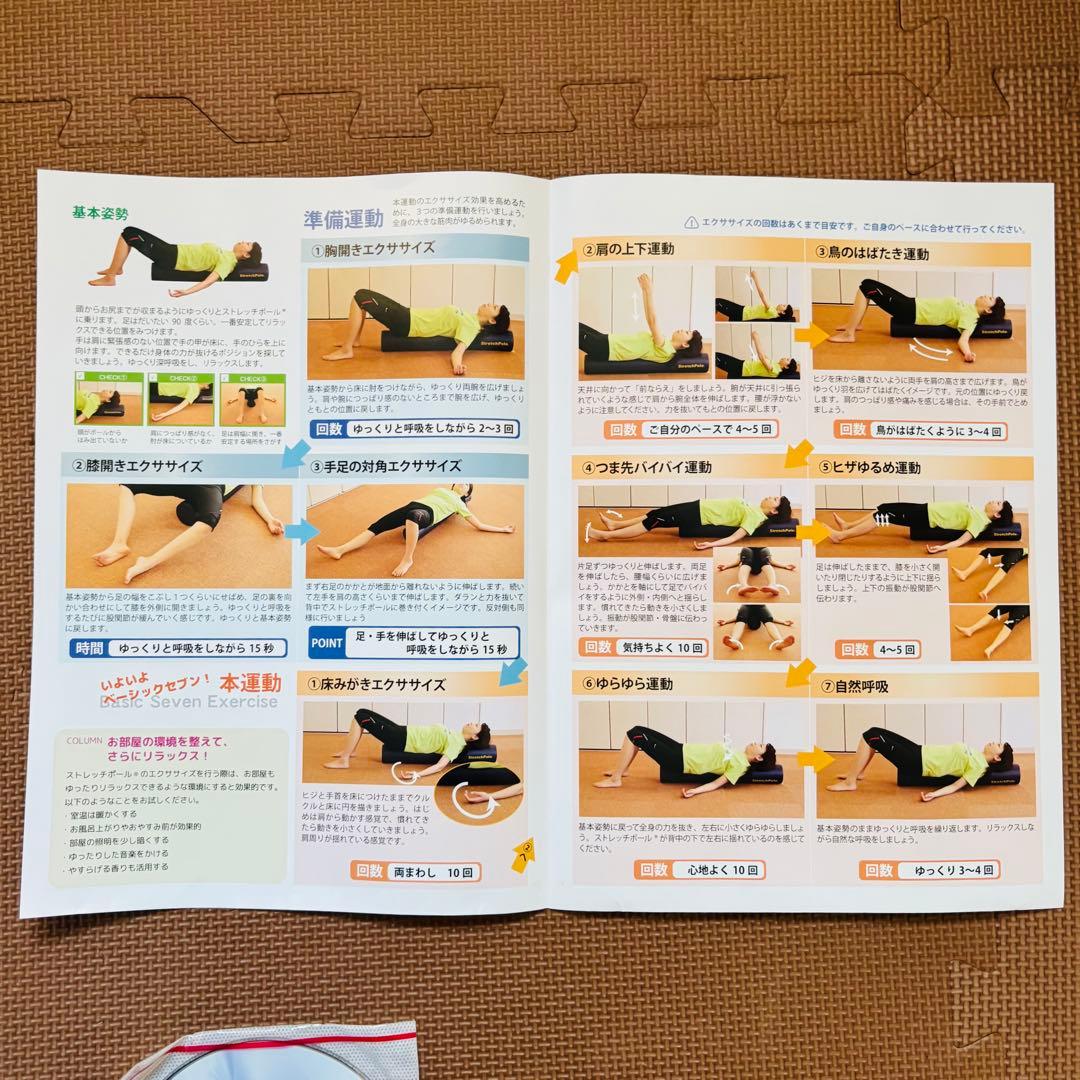 新品 未使用StretchPole LPN ストレッチポール EX DVD付き