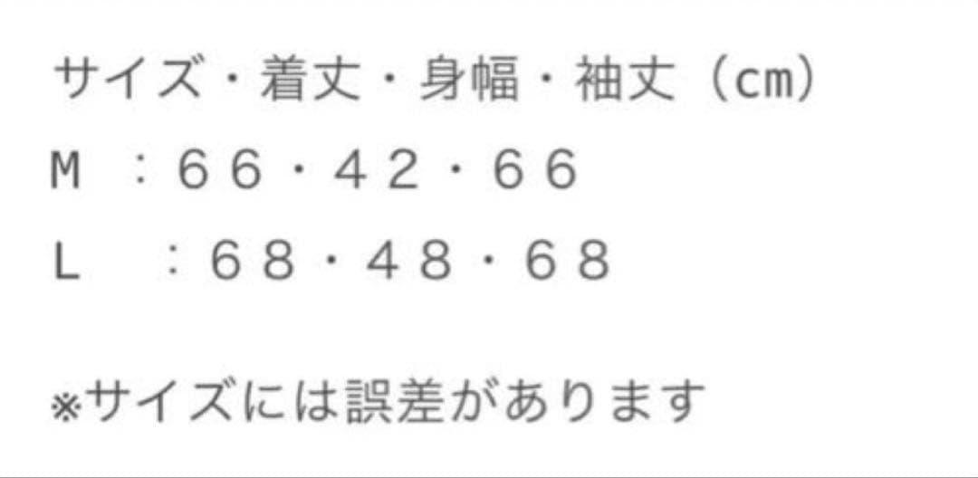 VALLAD 白　サーマル　io kohjiya 着用