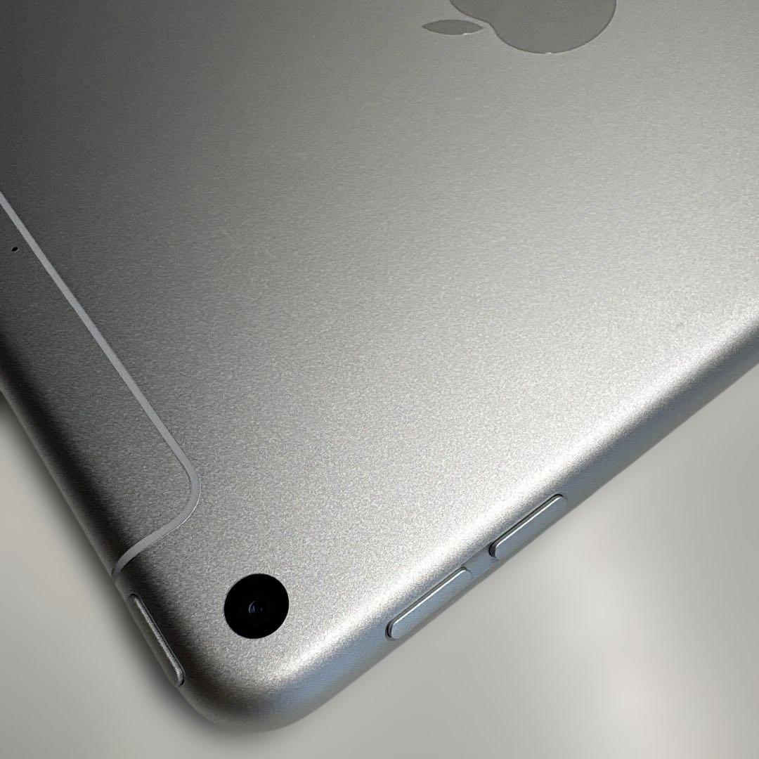 【美品】iPad mini5 Wi-Fi+Cellular モデル 64GB