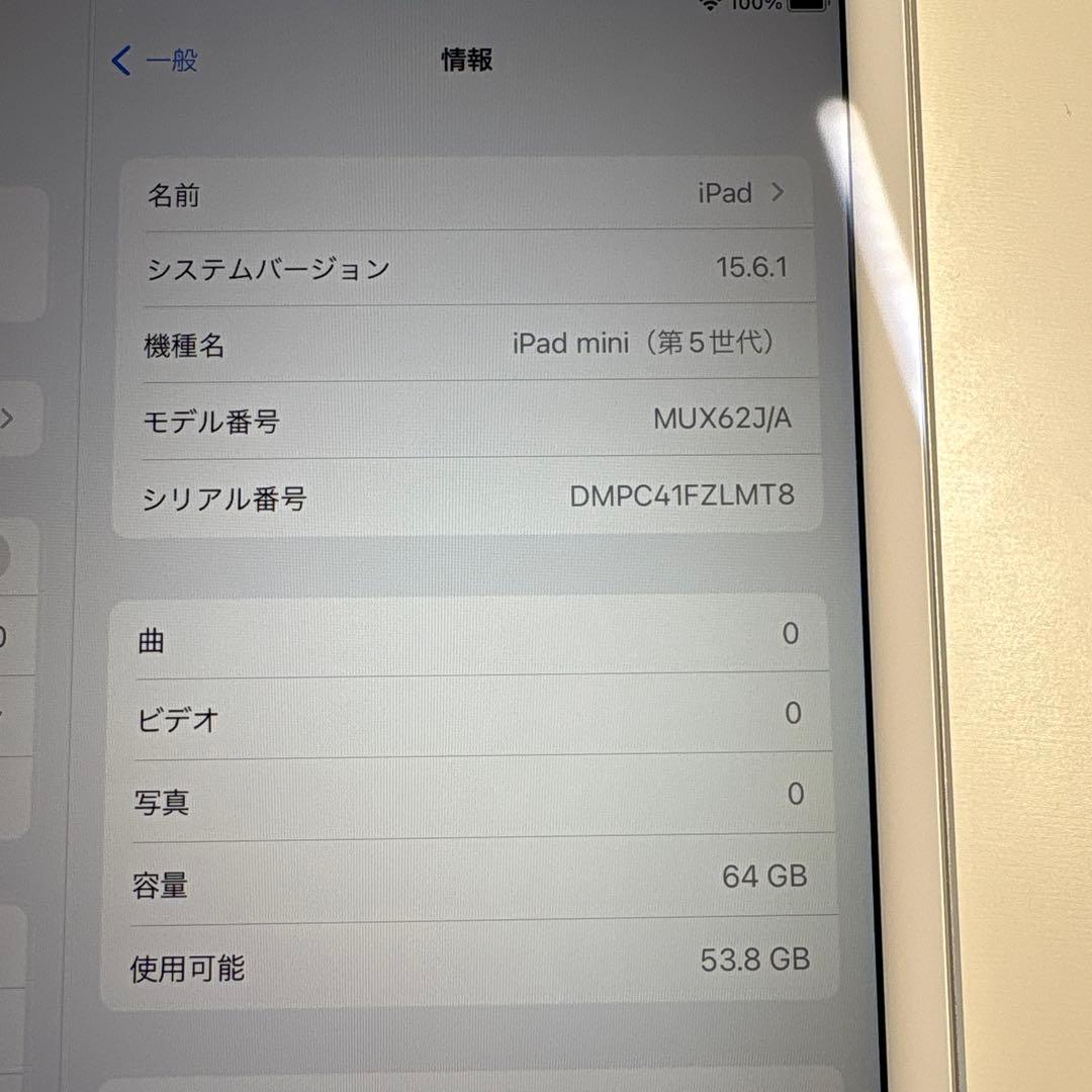 【美品】iPad mini5 Wi-Fi+Cellular モデル 64GB