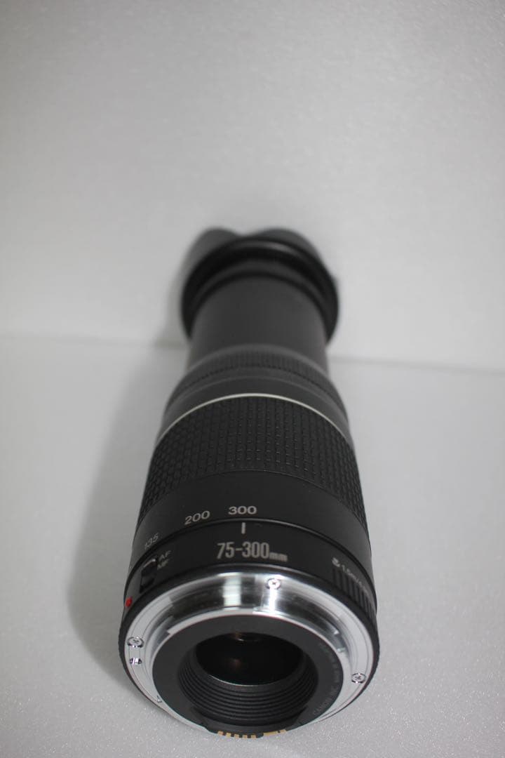CANON ZOOM LENS EF 75-300㎜1:4-5.6Ⅲ