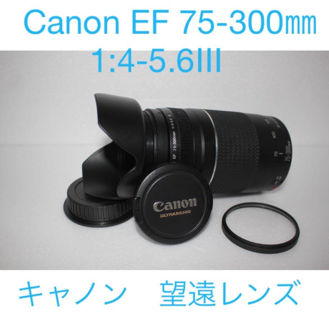 CANON ZOOM LENS EF 75-300㎜1:4-5.6Ⅲ