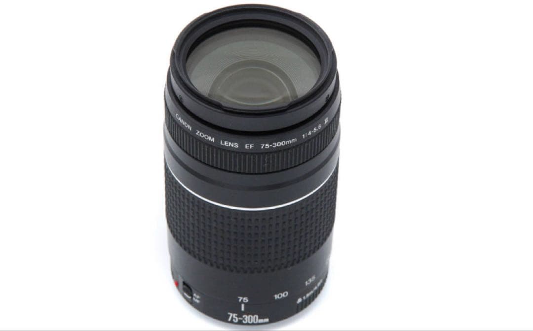 CANON ZOOM LENS EF 75-300㎜1:4-5.6Ⅲ