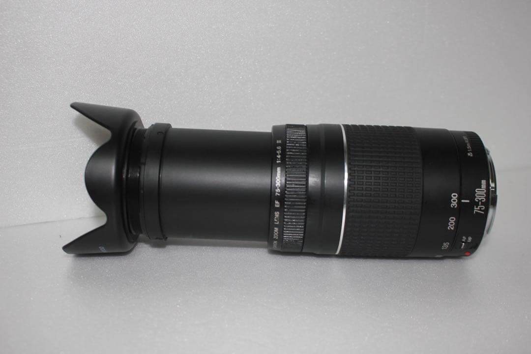CANON ZOOM LENS EF 75-300㎜1:4-5.6Ⅲ