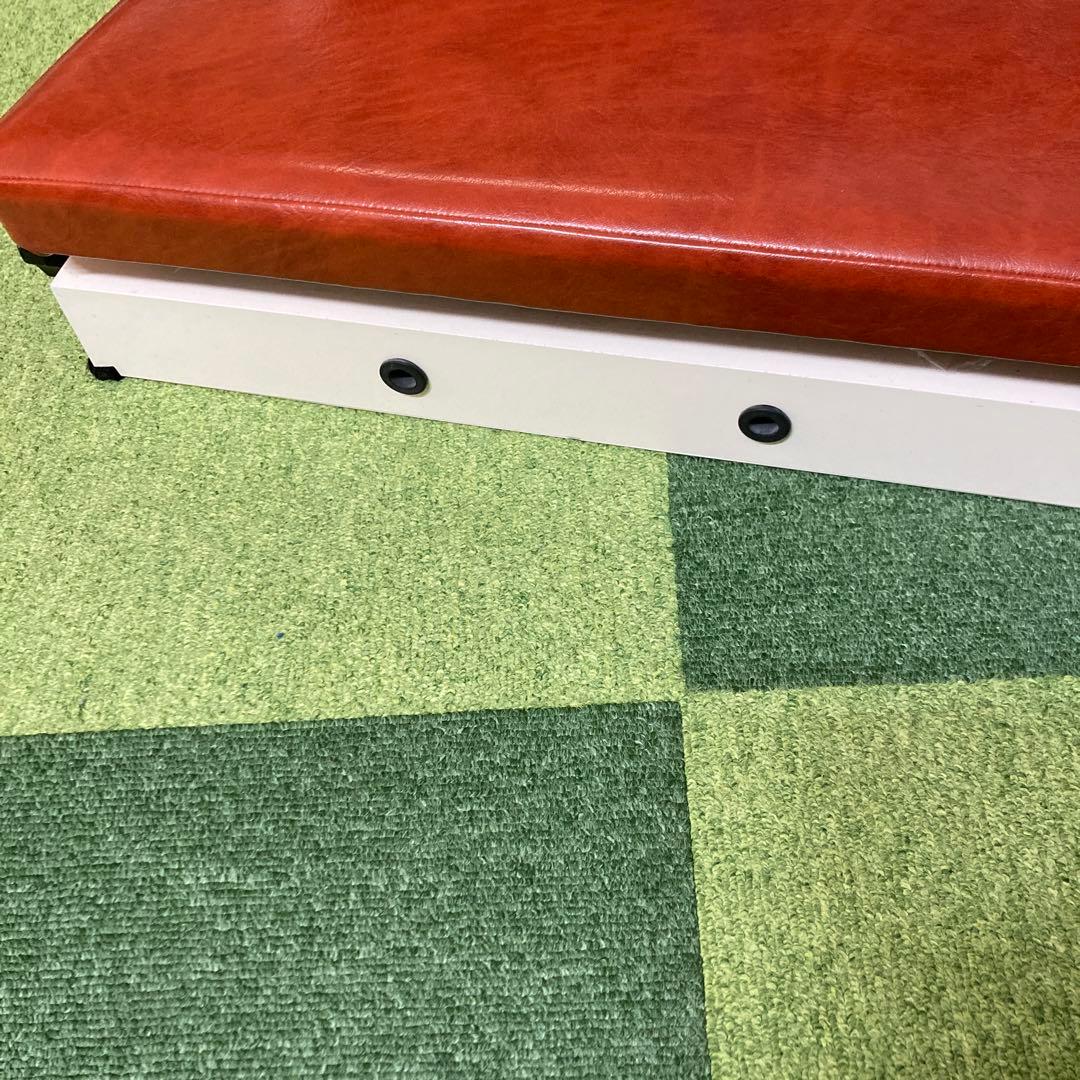 貴重　カイロプラクティック　ドロップ　骨盤　腰椎　距骨　上肢下肢　整体　矯正