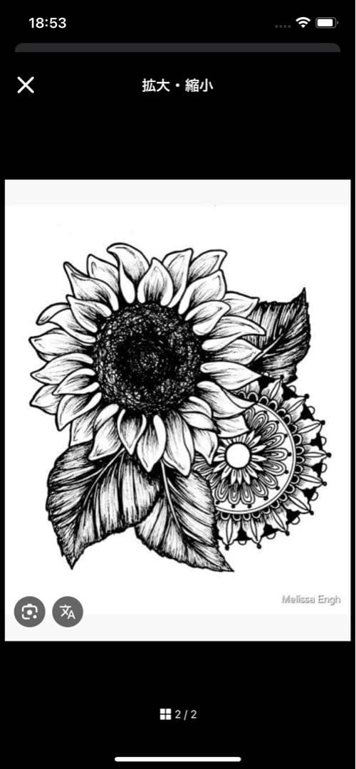 らむ╰(‘ω’ )╯三