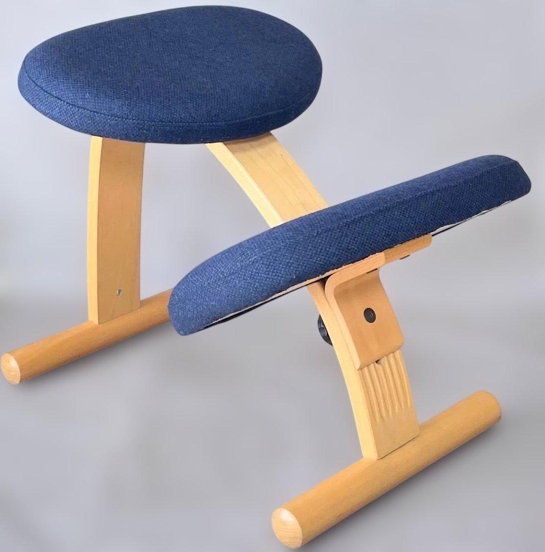 美品✨Balans EASY バランスチェア イージー ネイビー リボ社 送料込