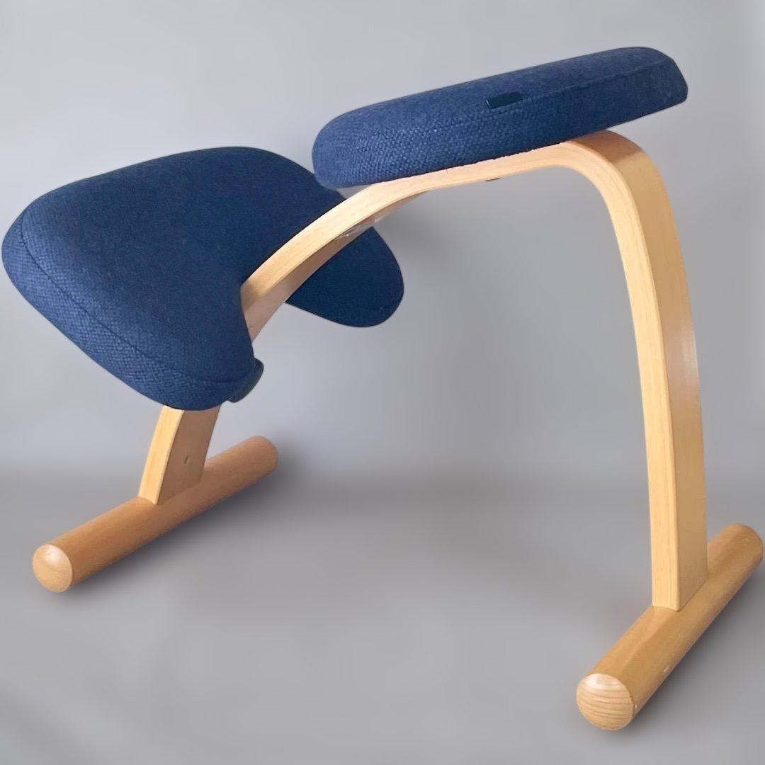 美品✨Balans EASY バランスチェア イージー ネイビー リボ社 送料込