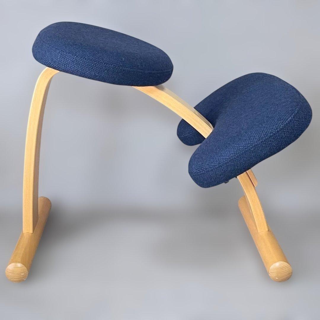 美品✨Balans EASY バランスチェア イージー ネイビー リボ社 送料込