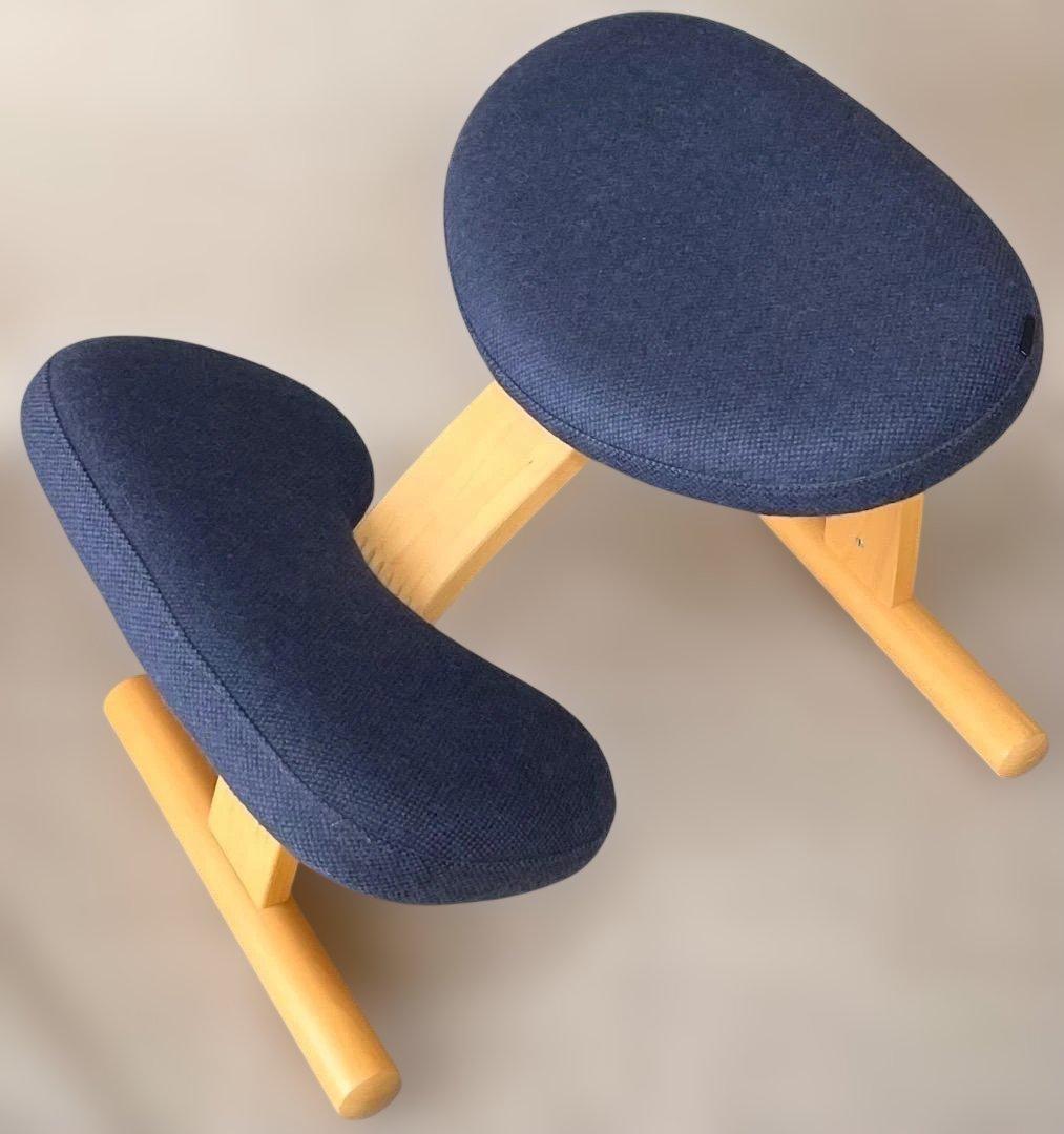 美品✨Balans EASY バランスチェア イージー ネイビー リボ社 送料込