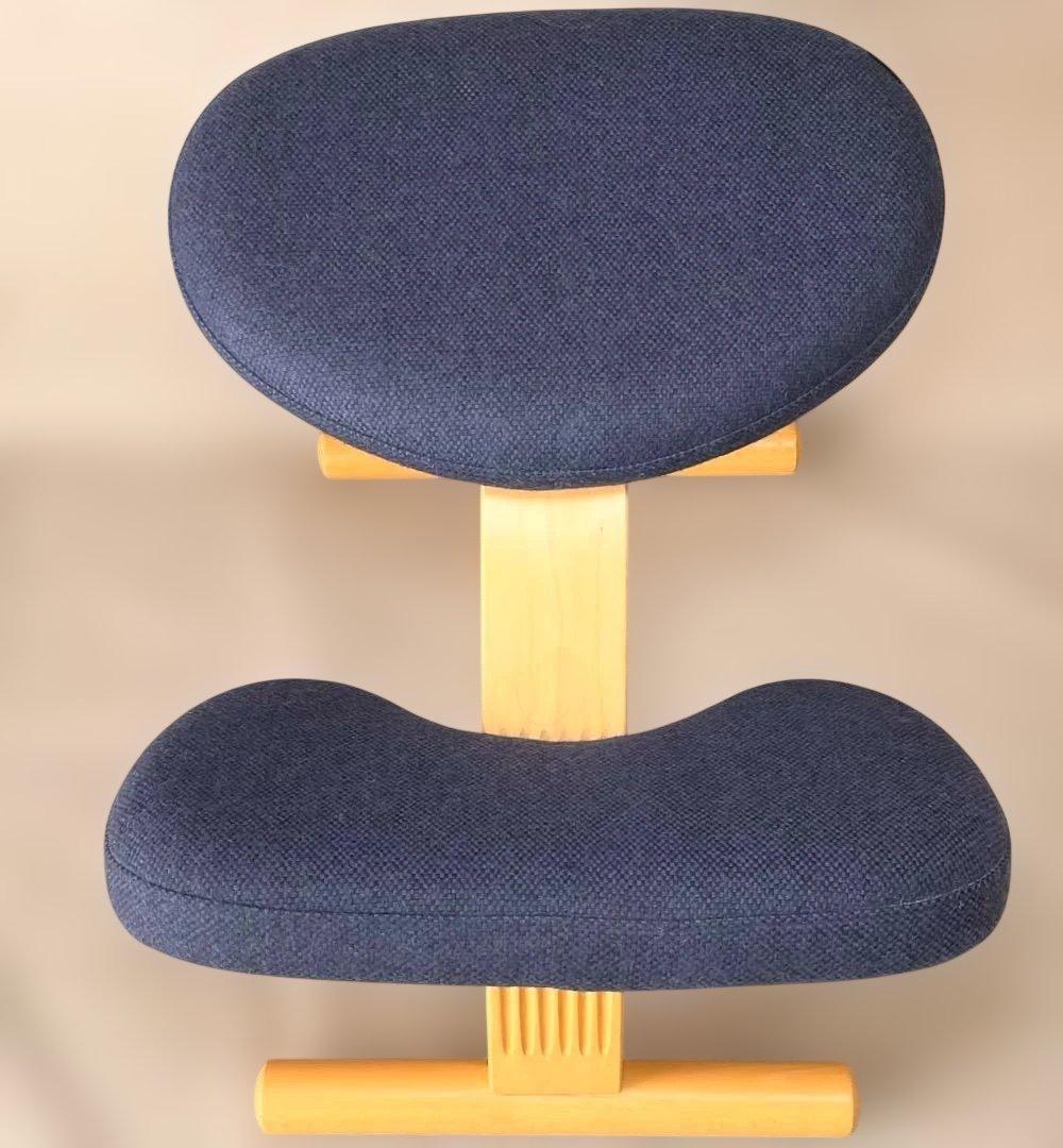 美品✨Balans EASY バランスチェア イージー ネイビー リボ社 送料込