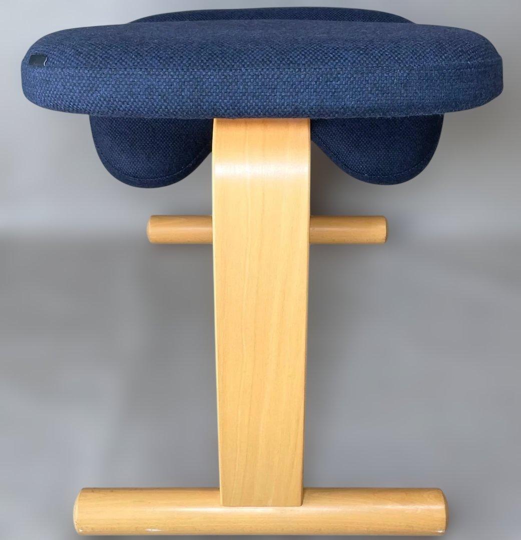 美品✨Balans EASY バランスチェア イージー ネイビー リボ社 送料込