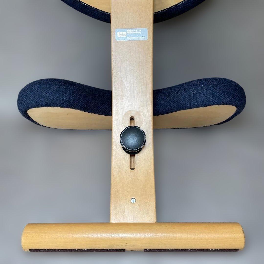 美品✨Balans EASY バランスチェア イージー ネイビー リボ社 送料込