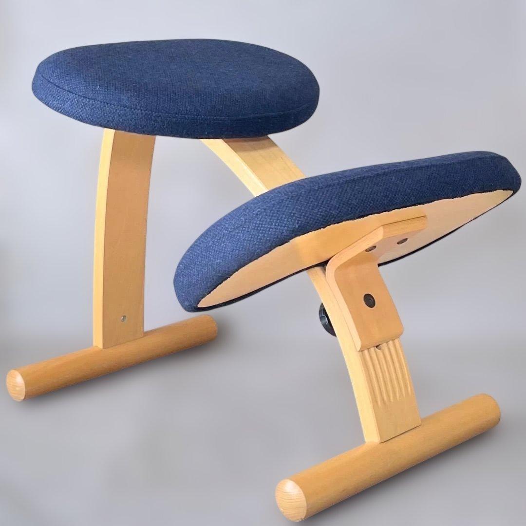 美品✨Balans EASY バランスチェア イージー ネイビー リボ社 送料込