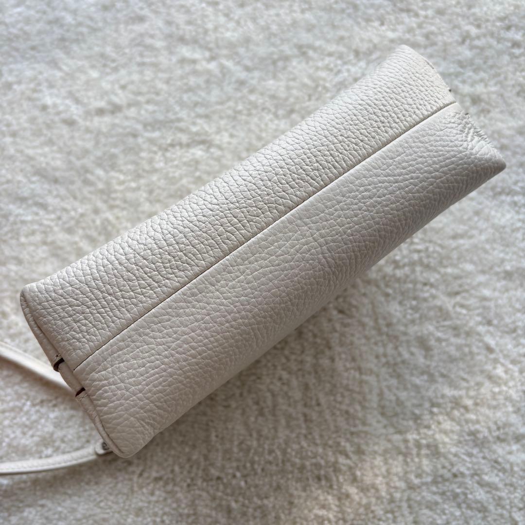 【美品】GIANNICHIARINI ショルダーバッグ アリファ S マーブル