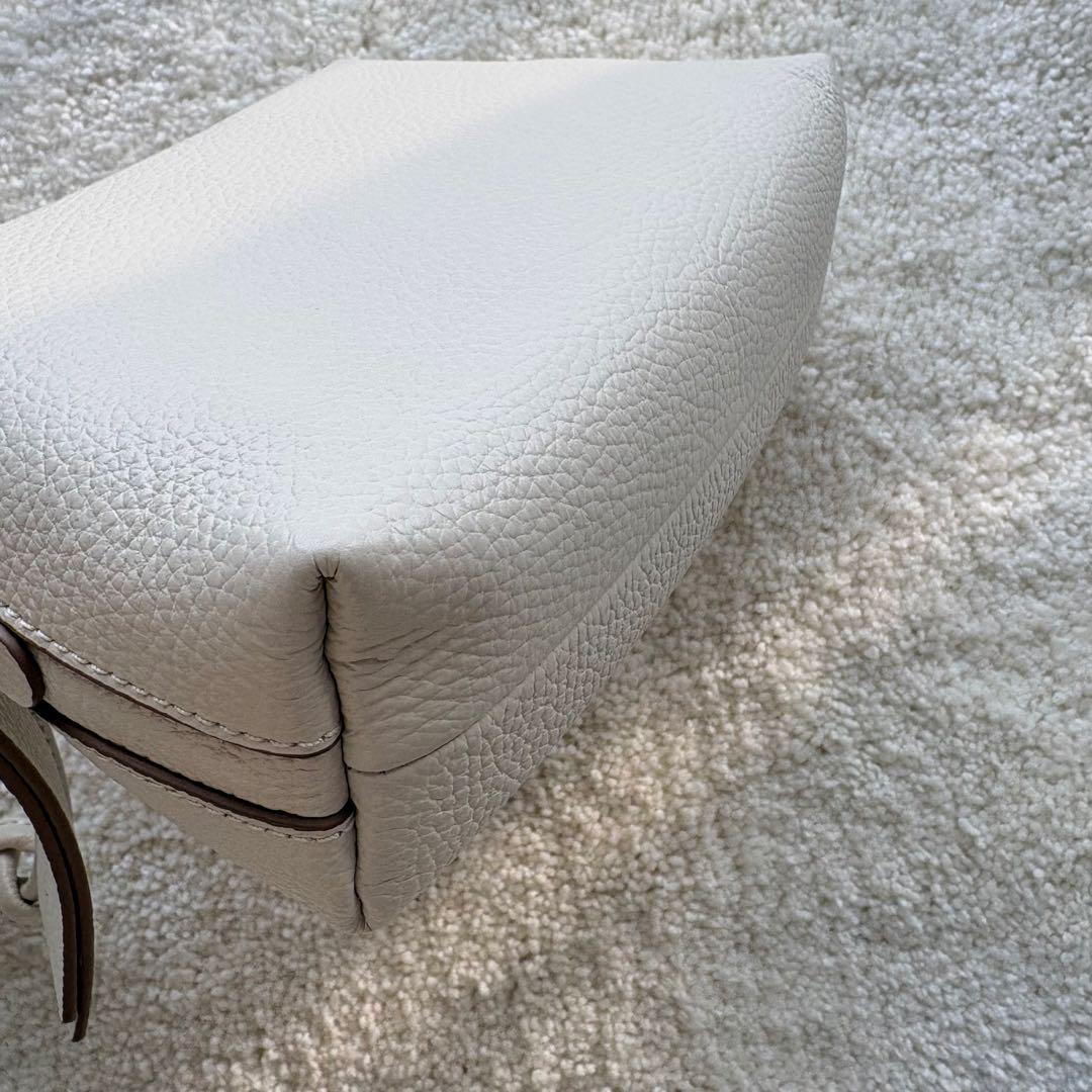 【美品】GIANNICHIARINI ショルダーバッグ アリファ S マーブル