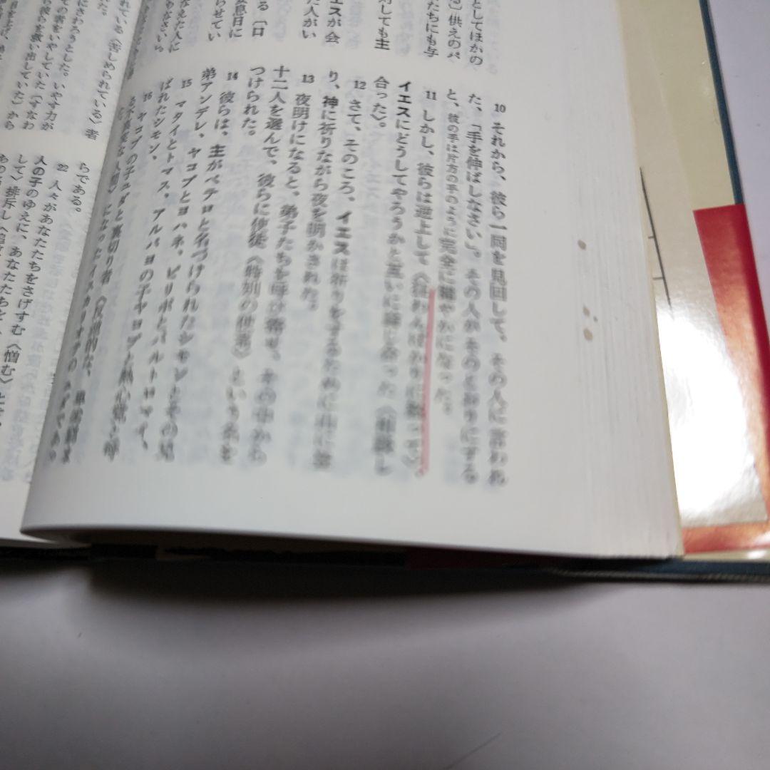 詳訳聖書 第12版