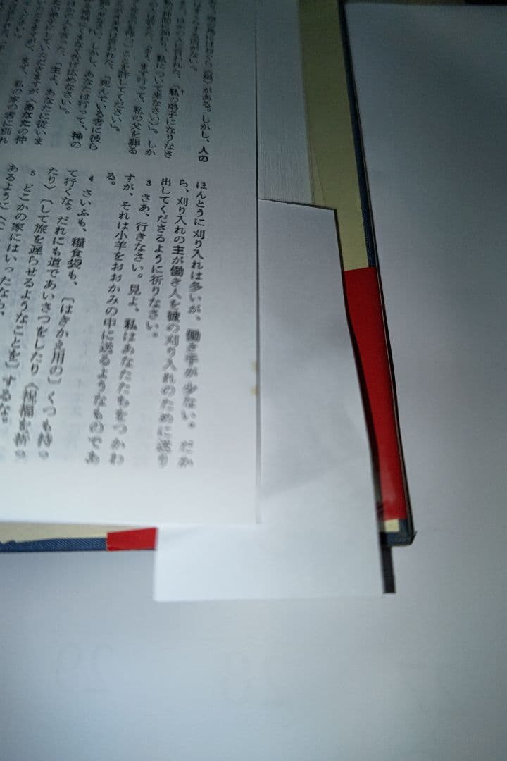 詳訳聖書 第12版