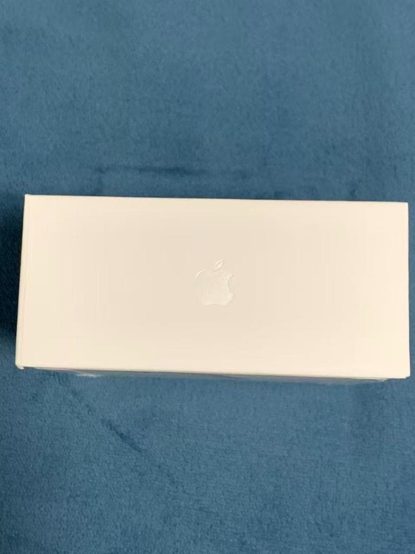 【美品】Airpods Pro 第2世代 (USB-C)