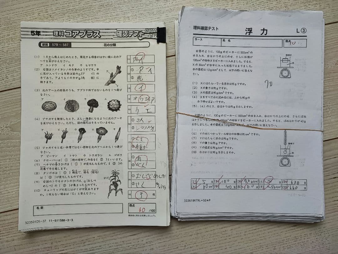 値下げ28日まで★SAPIX 5年生　1年間 全科目　テキスト　②