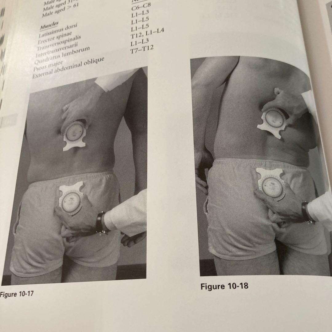 アメリカカイロプラクティック大学正規テキスト！整形外科と神経学検査テキスト！