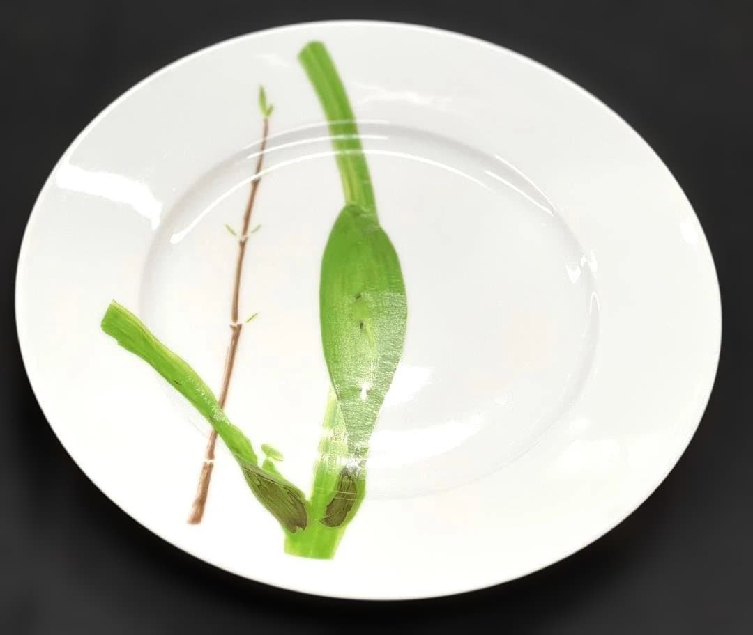 リモージュ　レイノー　ベルデュラス　22ｃｍプレート4枚セット