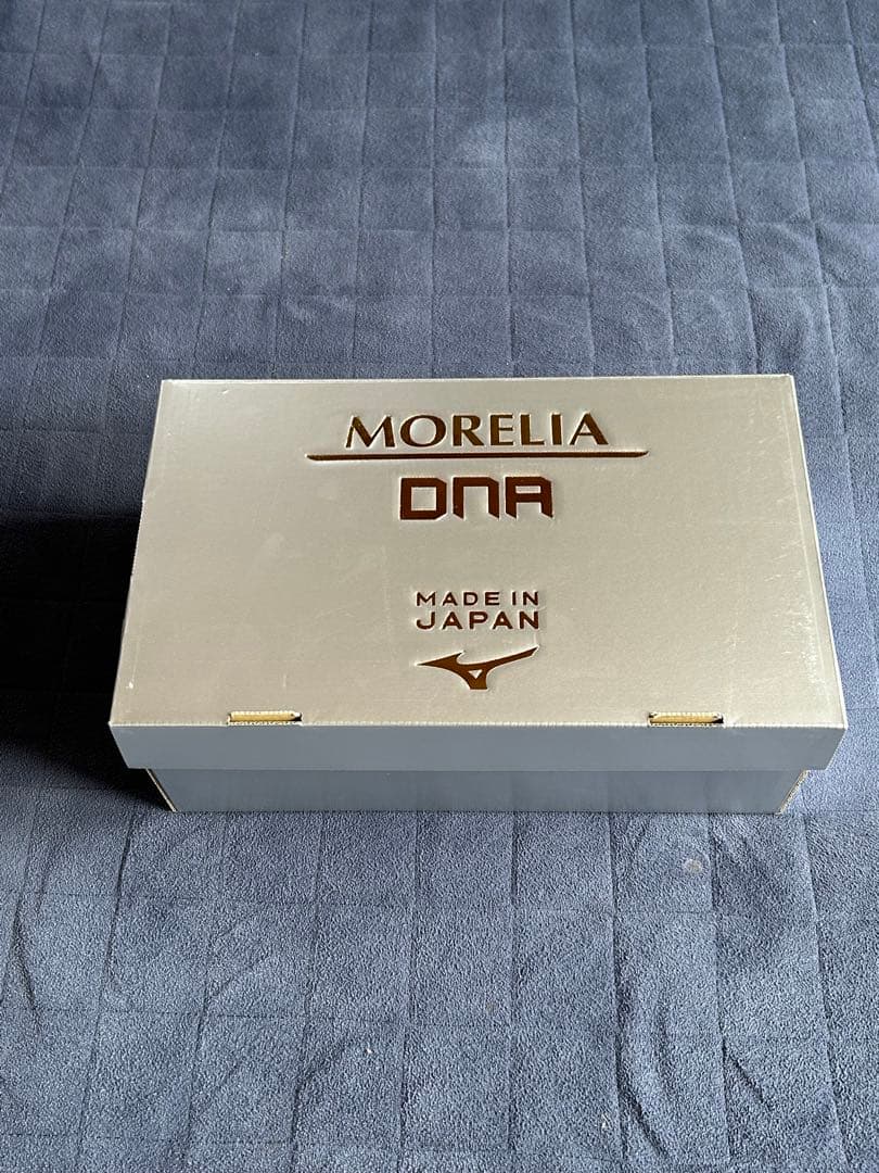 超貴重サイズ25.0 Mizuno Morelia DNA モレリアDNA