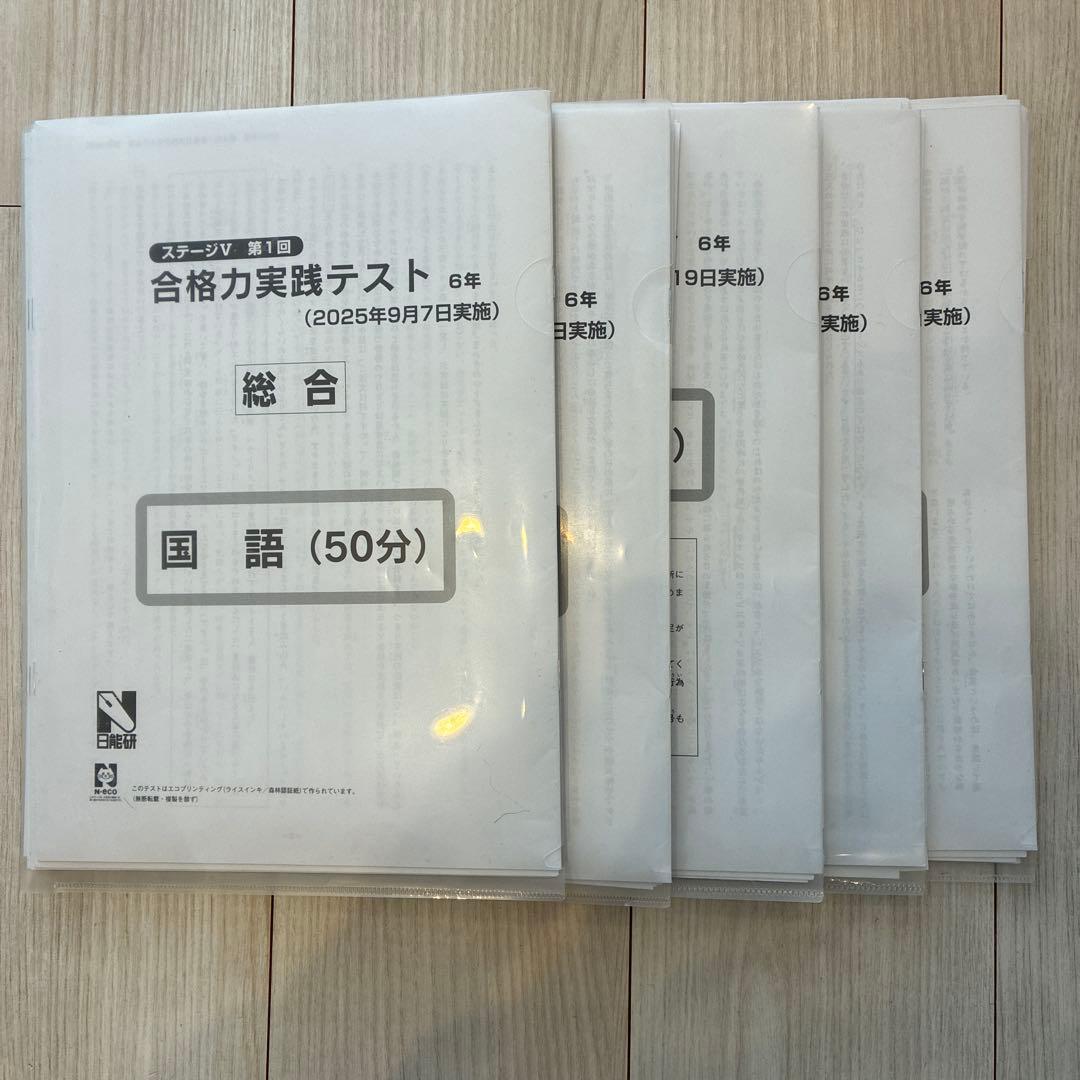 日能研　2025年度　6年　学習力育成テスト等