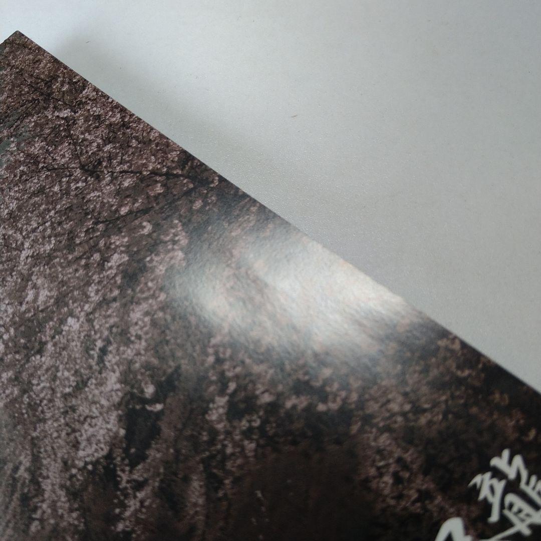 渡瀬悠宇 ふしぎ遊戯 パーフェクトワールド vol.14 付録つき