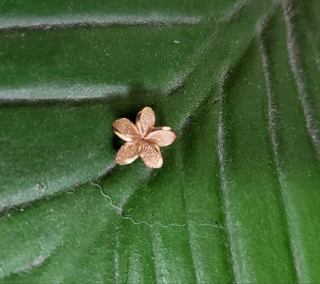 ハワイアンジュエリーk14プルメリアチャーム