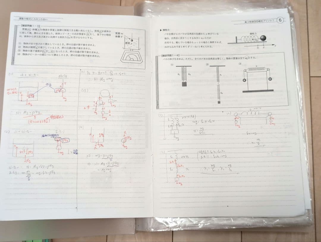 鉄緑会　高3物理　物理発展講座•問題集•物理攻略のヒントのテキスト+補足プリント