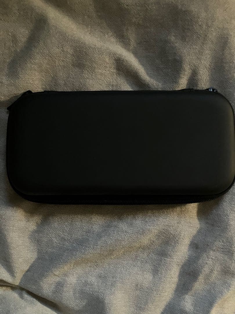 【美品】 Nintendo Switch Lite 本体 グレー ケース付き