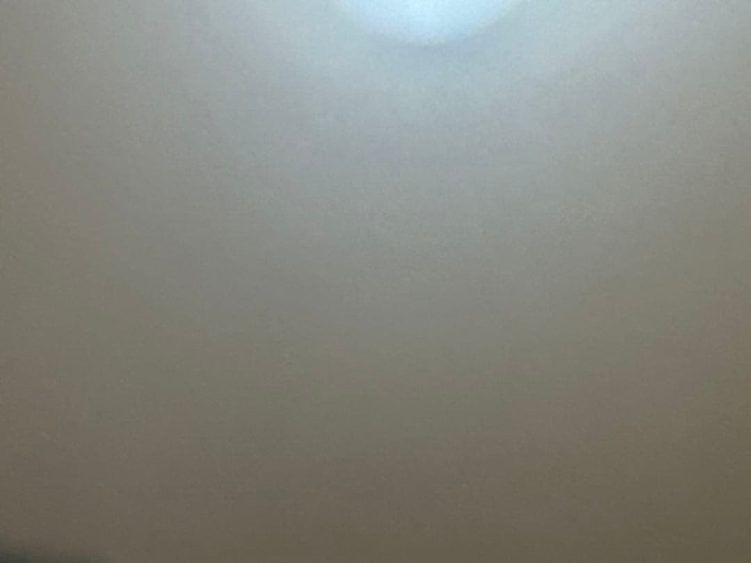 未使用 Switch どうぶつの森 Nintendo 任天堂