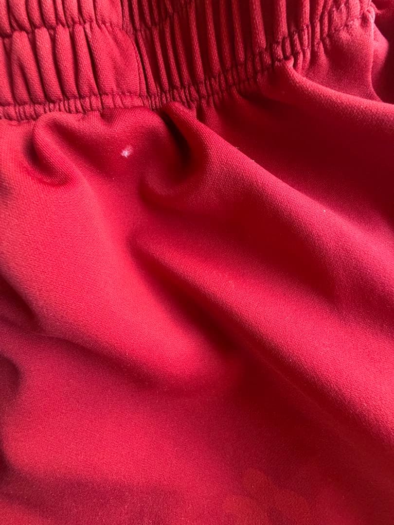 YONEX バドミントン　ユニフォーム　Ｌサイズ 日本代表　レア　ハーフパンツ