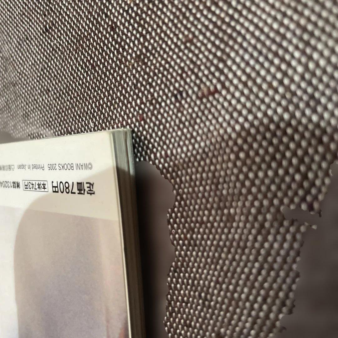 Supreme Book (2005 A/W) ステッカー付ムック本